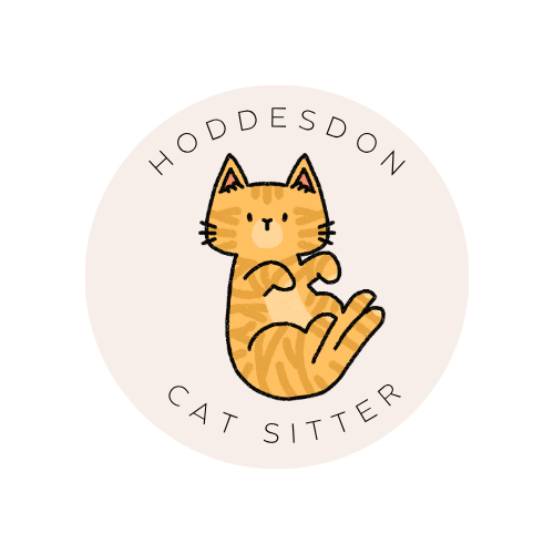 Hoddesdon Cat Sitter